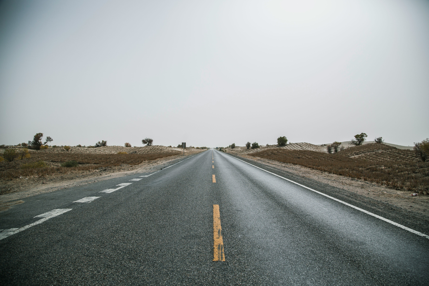 A road leads into the horizon with no clear end.